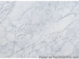 The image is a close-up of a marble surface. The marble has a white color with black veins running through it. The veins appe...