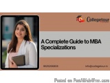 A Complete Guide to MBA Specializations