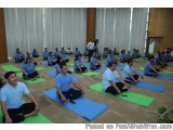 The image shows a large group of people sitting on yoga mats in a large room with large windows. They are all wearing blue t-...