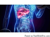 The image is a digital illustration of a human body with a blue and pink color scheme. The background is black, and the focus...