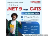 Boost Performance: .NET 9 & C# 13 Optimization Services Available
