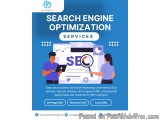 Professional SEO Services That Drive Sustainable Growth â€“ AQVA Marketing