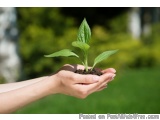 The image shows a pair of hands holding a small plant in soil. The hands are gently cradling the plant with their palms, and...