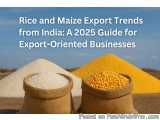 Rice and Maize Export Trends from India: A 2025 Guide for Exportâ€‘Oriented Businesses