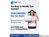 Best Digital Marketing Company in Delhi: Promote your online appearance with Digilinkers