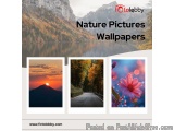 Nature Pictures Wallpapers