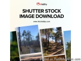 Shutter Stock Image Download