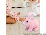 Hoppsy Robot Bunny (@hoppsyrobotbunny) – Is It Really Worth It?