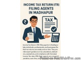 The image is an infographic that explains how income tax return (ITR) filing agents in Madhapur help individuals, professiona...