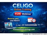 Celigo Online Training By Real-time Trainer In India