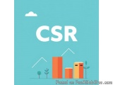 The image is a graphic design with the word "CSR" written in white capital letters on a light blue background. Below the word...