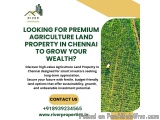 What Makes an Agriculture Land Property in Chennai the Trending Asset for Green Investment Lovers?