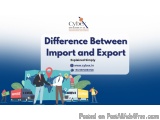 Difference Between Import and Export: Explained Simply