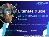 Choose the right SAP ERP software for your small business
