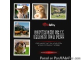 Copyright Free Images for Free