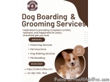 Tails & Coffee | Best pet grooming services in gurgaon