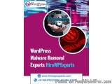 WordPress Malware Removal Experts â€“ HireWPExperts