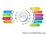 The image is a circular diagram that represents the different types of ASP-RCM (ASP-RCMs) services offered by the company. Th...