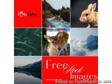 Free Stock Images