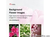 Background Flower Images