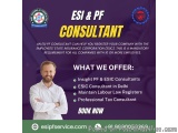 PF Registration and Monthly Return Filing Services In Delhi