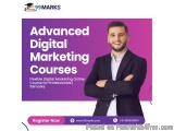 Study Digital Marketing Online