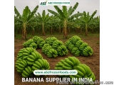 Freshness You Crave, Quality You Deserve â€“ Leading Banana Supplier in India