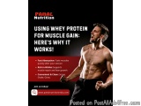 Beginnerâ€™s Guide to Using Whey Protein for Muscle Gain