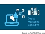 The image is a graphic design that represents the concept of hiring digital marketing executive. It has a blue background wit...