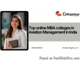 Top online MBA colleges in Aviation Management in India