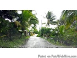Land For Sale Trindad And Tobago