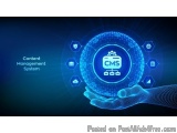 CMS Web Development Services for Smarter Business Growth