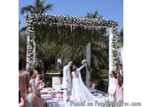 The image shows a newlywed couple standing under a beautiful white arch decorated with white flowers and greenery. The arch i...