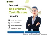 Experience Certificates Provider In Noida
