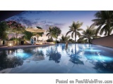 The image is a 3D rendering of a luxurious swimming pool at night. The pool is rectangular in shape and has a blue-green colo...