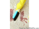 The image shows a person's hand wearing a yellow rubber glove and using a blue brush to clean a beige carpet. The brush has b...