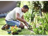 The image shows a man kneeling on the grass in a garden, working in the garden. He is wearing a white t-shirt and blue shorts...