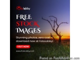 Free Stock Images