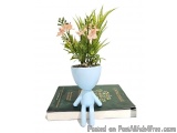 The image shows a small potted plant with pink flowers and green ferns in it. The plant is in a light blue ceramic pot with a...