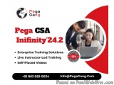 Pega CSA Infinity'24.2 Project-Based Online Training Starts Soon â€“ PegaGang