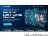 Mule Software Training