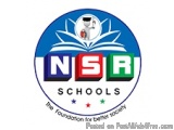 The image is a logo for the National School for Better Education (NSA) Schools. The logo is circular in shape and has a blue...
