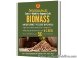The image is a cover page of a report titled "Punjab State Specific Subsidiary Viability Report (SVR) Biomass". The title of...