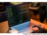 Professional C Code Testing Services For Better Software Quality