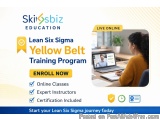 Yellow Belt Six Sigma Training For Beginners