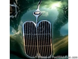 The image is a close-up of the front grille of a vintage car. The grille is made up of two rectangular panels with a gold-col...