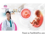 Best IVF Specialist Doctor in Bangalore for Advanced Fertility Care - Tamara Hospital & IVF Center
