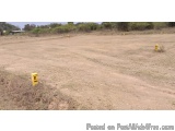 The image shows a barren landscape with a clear blue sky in the background. The ground is covered in dry grass and there are...