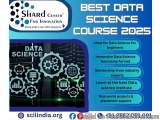 Best Data Science Course 2025