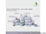 Leading Essential Oil Manufacturer For Industrial & Cosmetic Whol...